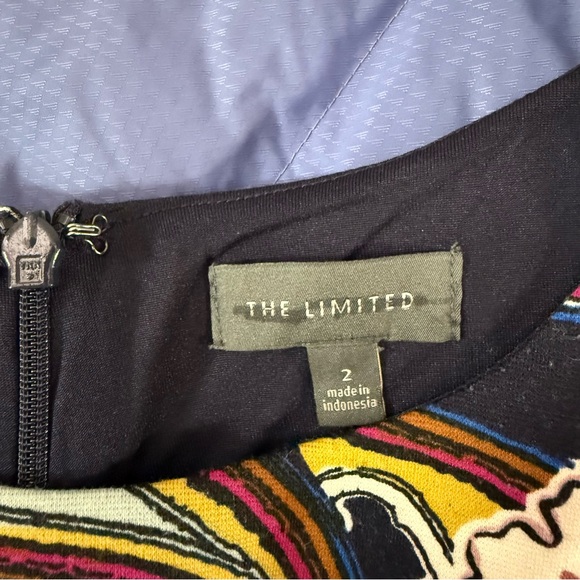 The Limited‎ A-Line Sleeveless Stretch Dress Floral Abstract Colorful Paisley 2 - Picture 6 of 9